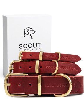 Stylish Genuine Leather Dog Collar | Heavy Duty Wide Collar for All Sizes | Red